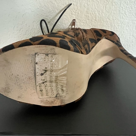 Leopard - Picture 5 of 6